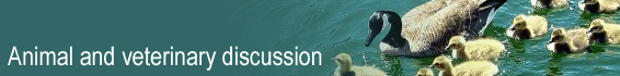 Animal and veterinary discussion forum