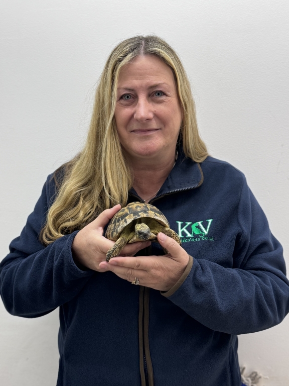 Kirks Vets Practice Manager Sara Marchant with Pee-Wee the lost tortoise