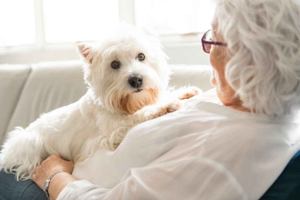 Two new studies highlight the role of human-animal bond