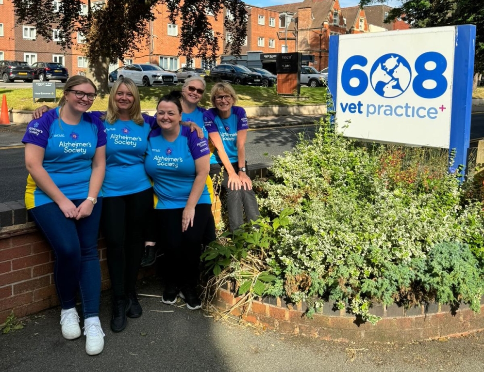 The 608 Vets team. From left to right it is Hannah Greenway, Yvette Luckett, Ally Pett, Lindsey Whitburn and Deborah Hope.