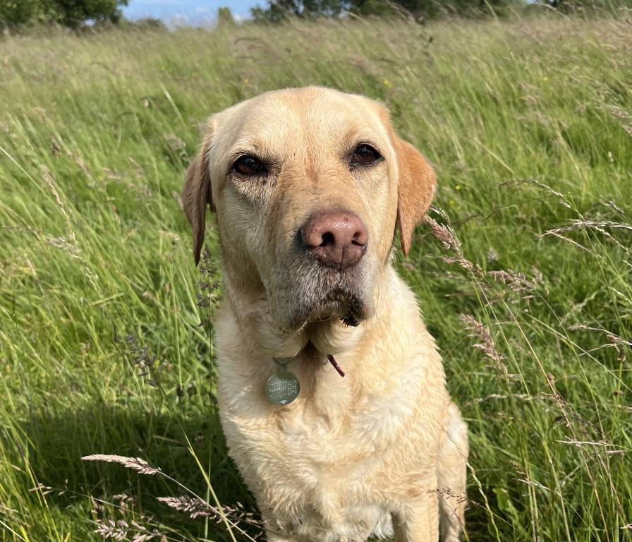 Summer had to have her tongue removed after a freak accident. 