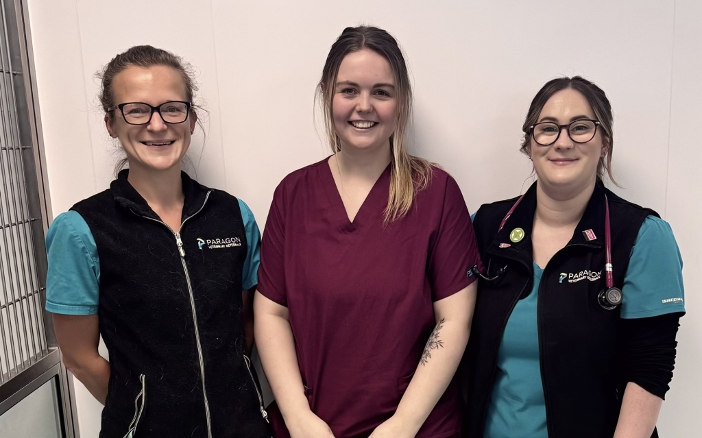 Cat advocates (left to right) multi-disciplinary registered veterinary nurse Paula Hirst, student veterinary nurse Megan Hill, ICU registered veterinary nurse Chelsea O’Donnell.