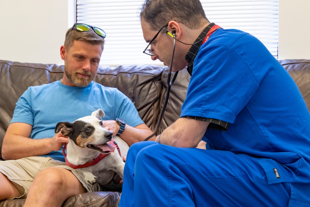 Owner Joe and Anthony Zambelli from Anderson Moores Veterinary Specialists with little Jazzy.