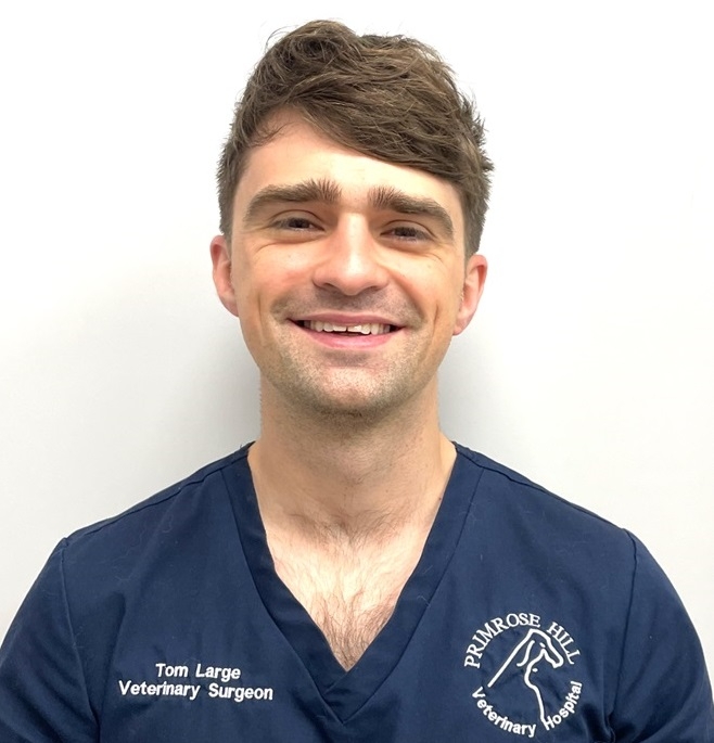 Thomas Large, of Primrose Hill Veterinary Hospital, has been recognised as a specialist in ophthalmology. 