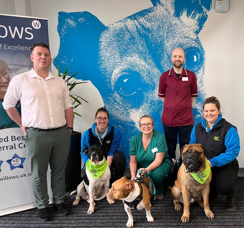 Renowned Willows animal hospital supporting Birmingham Dogs Home.