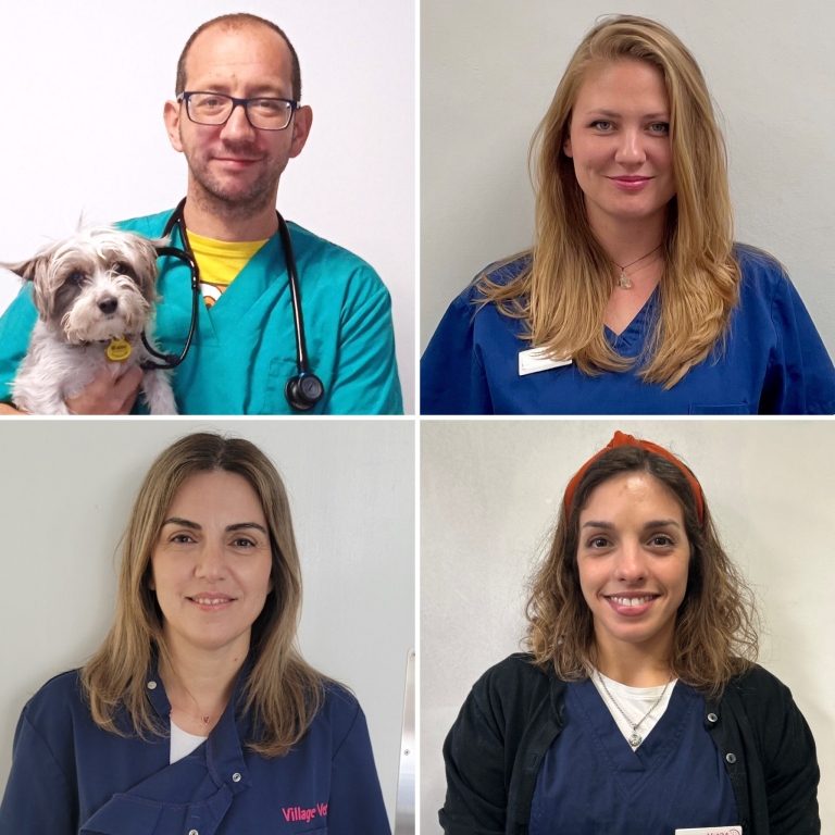 Mikel Arrese, Ana Dores, Katerina Metelkova and Carolina Martinez and all joined Village Vet's St Albans practice. 