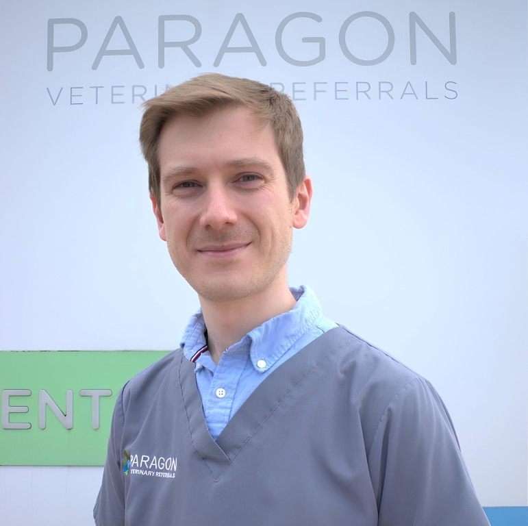 Ben Safrany from Paragon Veterinary Referrals, who is now an ECVIM-CA diplomate and an RCVS-recognised specialist in small animal medicine.