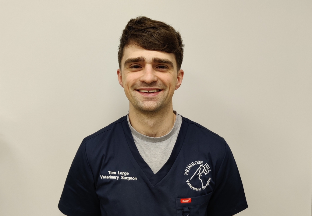 Thomas Large has joined Primrose Hill Veterinary Hospital as a veterinary ophthalmologist.