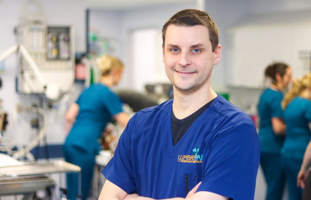 Matteo Cantatore is a RCVS Specialist & EBVS® European Specialist in Small Animal Surgery
