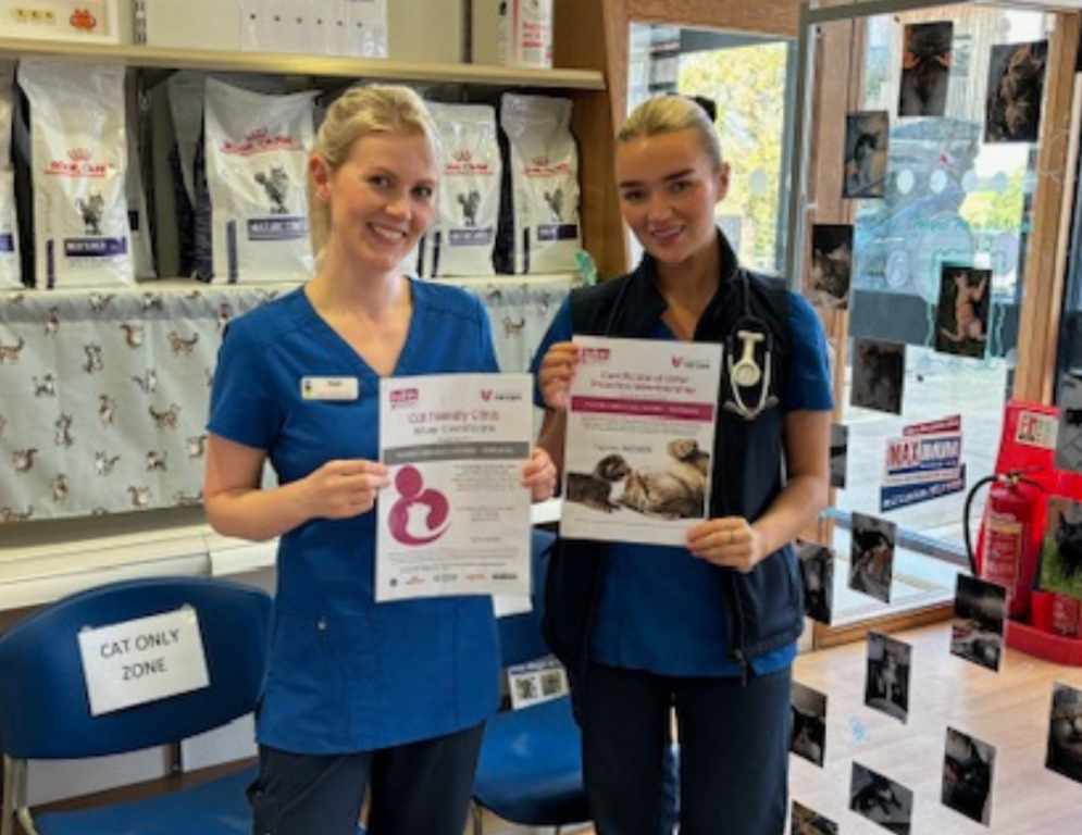 Parkhill Vets has been recognised as a silver level cat-friendly clinic (CFC) by the International Society of Feline Medicine (ISFM). 