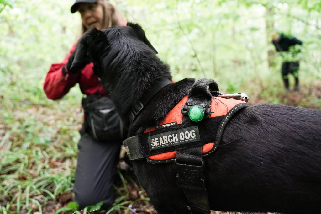 Members of the NSARDA’s Kent team in training 