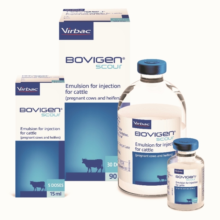 Bovigen Scour – Scour protection that lasts / Veterinary Industry